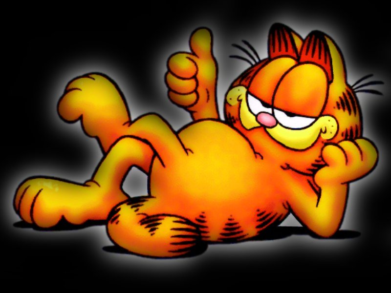 garfield